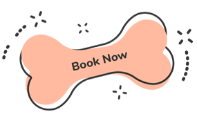 Book Now https://usagroomingpet.com/wp-content/uploads/2019/08/text_07.png